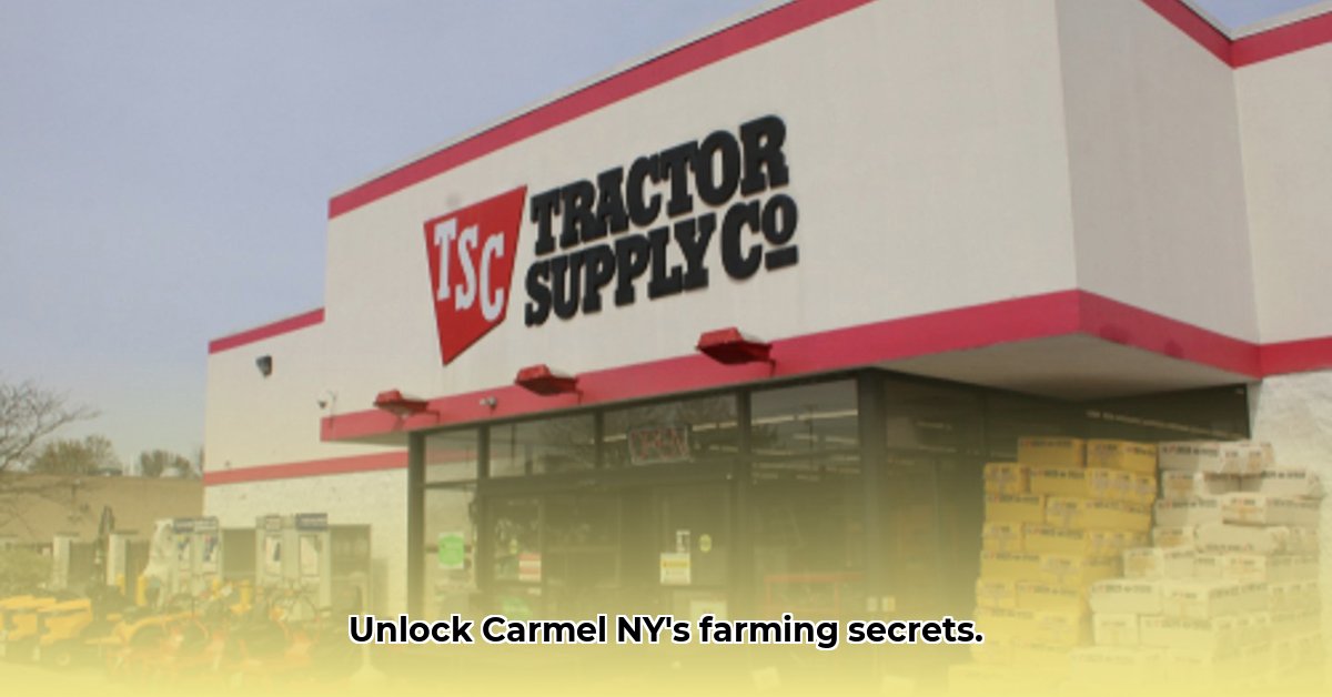 tractor-supply-carmel-ny